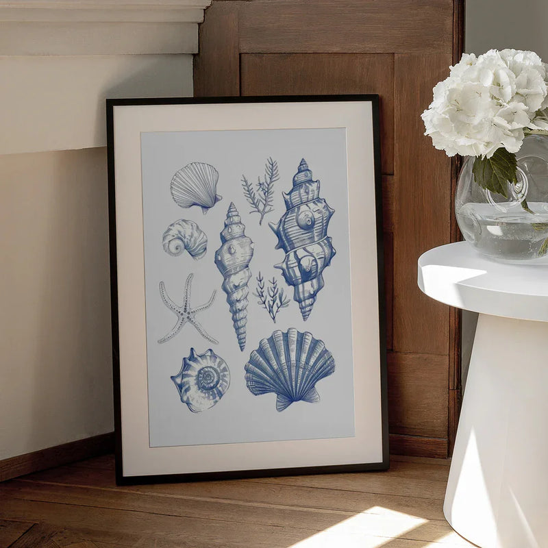 Shell Collage - Jolly and Dash Framed Art | Home or Office Art