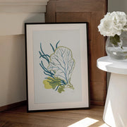 Algae No1 - Catalina Somolinos Framed Art | Home or Office Art