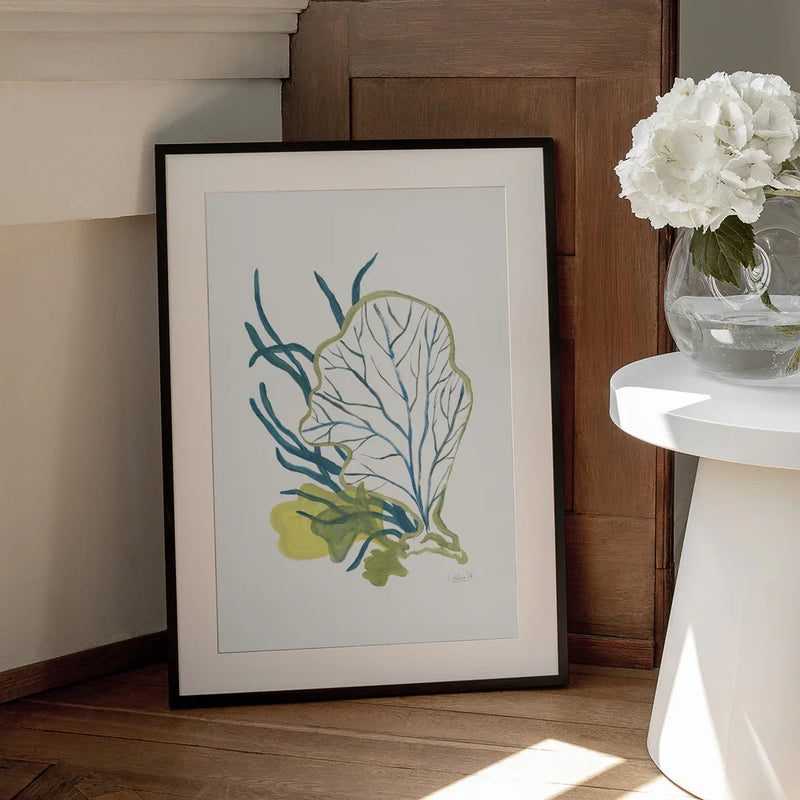 Algae No1 - Catalina Somolinos Framed Art | Home or Office Art
