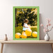 Modern Flat Green Picture Frame Gallery Wall - Modern Memory Design Picture frames - New Jersey Frame shop custom framing
