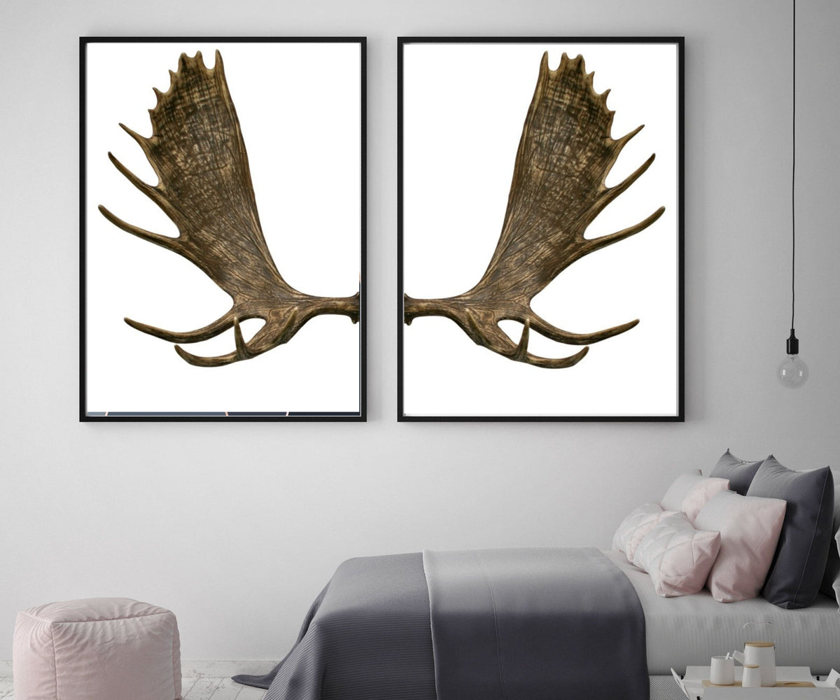Framed Art Framed Moose antlers Art fHunters decDeer