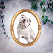 Antique Gold Round Oval Vintage Picture Frame 8x10 11x14 16x20