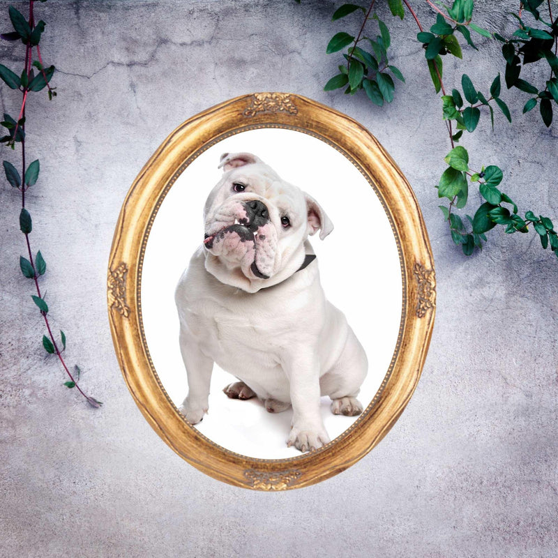 Antique Gold Round Oval Vintage Picture Frame 8x10 11x14 16x20