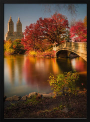 Fall in Central Park - Christopher R. Veizaga Framed Art | Home or Office Art