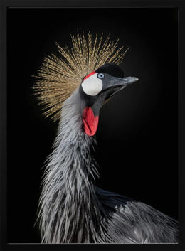 The Queen Framed Art fegari | Home or Office Art