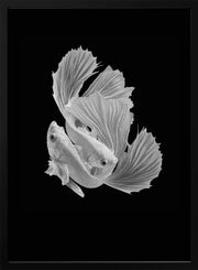 White Love Framed Art Andi Halil | Home or Office Art