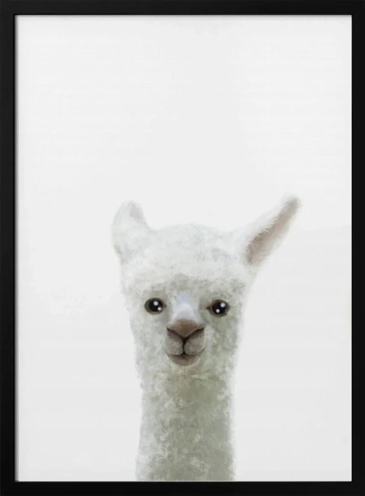 Llama Framed Art Pictufy Studio II | Home or Office Art