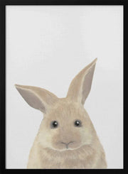 Rabbit Framed Art Pictufy Studio II | Home or Office Art