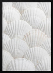 Shells_3 - Pictufy Studio III Framed Art | Home or Office Art