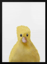 Duck Framed Art Pictufy Studio II | Home or Office Art