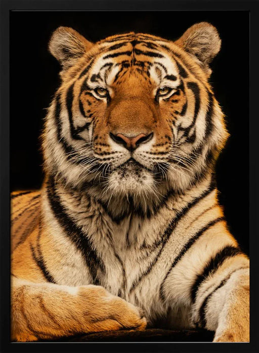 I c U Framed Art Jörg Zimmermann | Home or Office Art