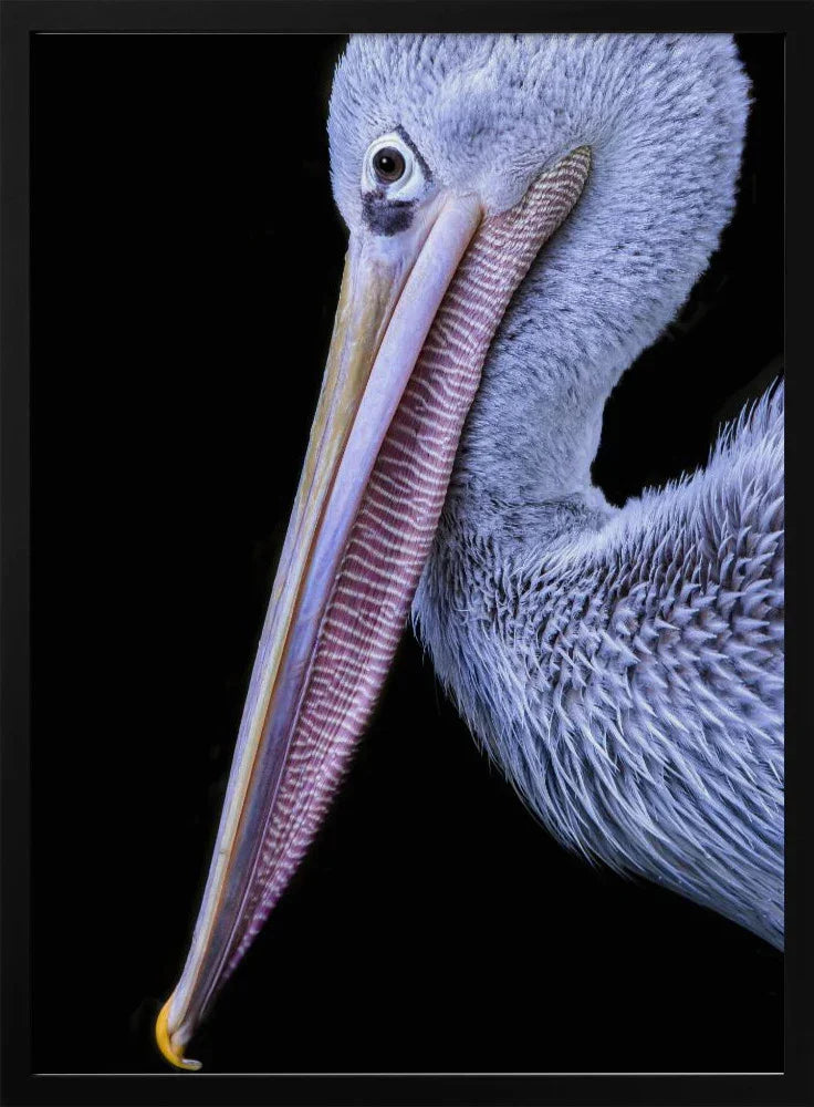 Untitled Framed Art Hardik Pandya | Home or Office Art