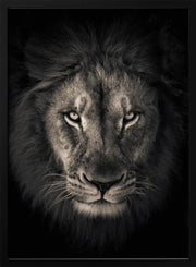 The king Framed Art Alex Zhao | Home or Office Art