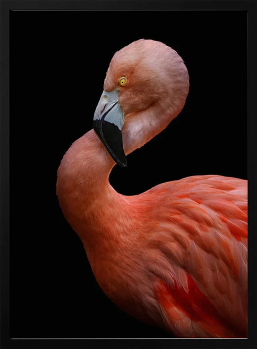 Untitled Framed Art Hardik Pandya | Home or Office Art