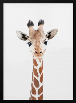 Baby Giraffe Framed Art Kathrin Pienaar | Home or Office Art