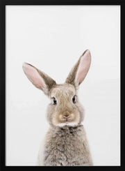 Baby Rabbit Framed Art Kathrin Pienaar | Home or Office Art