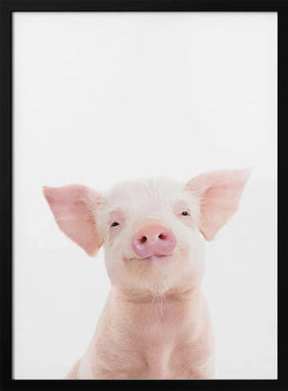 Baby Pig Framed Art Kathrin Pienaar | Home or Office Art