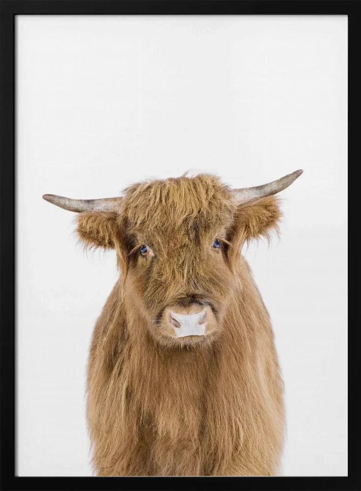 Baby Cow Framed Art Kathrin Pienaar | Home or Office Art