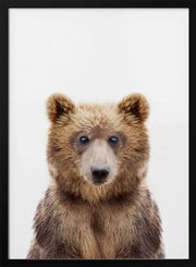 Baby Bear Framed Art Kathrin Pienaar | Home or Office Art