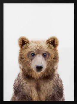 Baby Bear Framed Art Kathrin Pienaar | Home or Office Art