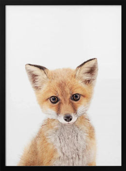 Baby Fox Framed Art Kathrin Pienaar | Home or Office Art