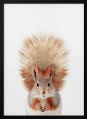 Baby Squirel Framed Art Kathrin Pienaar | Home or Office Art