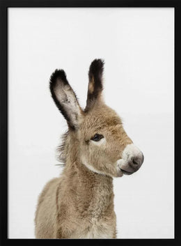 Baby Donkey Framed Art Kathrin Pienaar | Home or Office Art