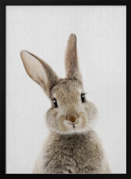 Peekaboo Bunny Framed Art Lola Peacock | Home or Office Art