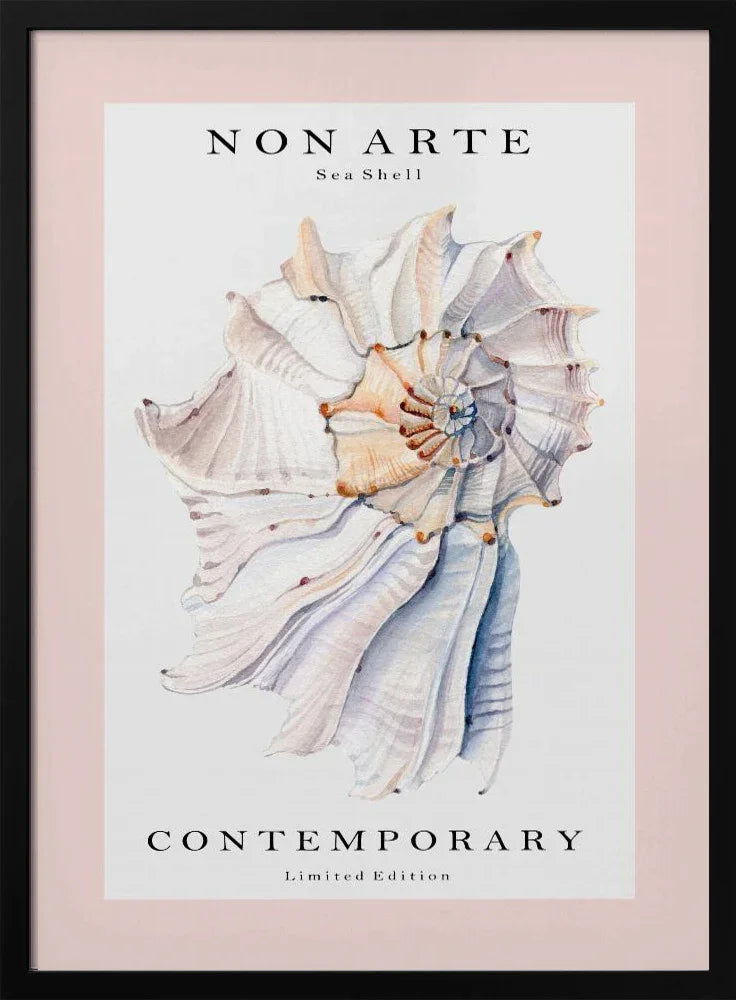 Non Arte Sea Shell no.1 - Rikke Løndager Boisen Framed Art | Home or Office Art