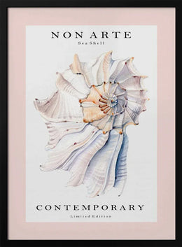 Non Arte Sea Shell no.1 - Rikke Løndager Boisen Framed Art | Home or Office Art