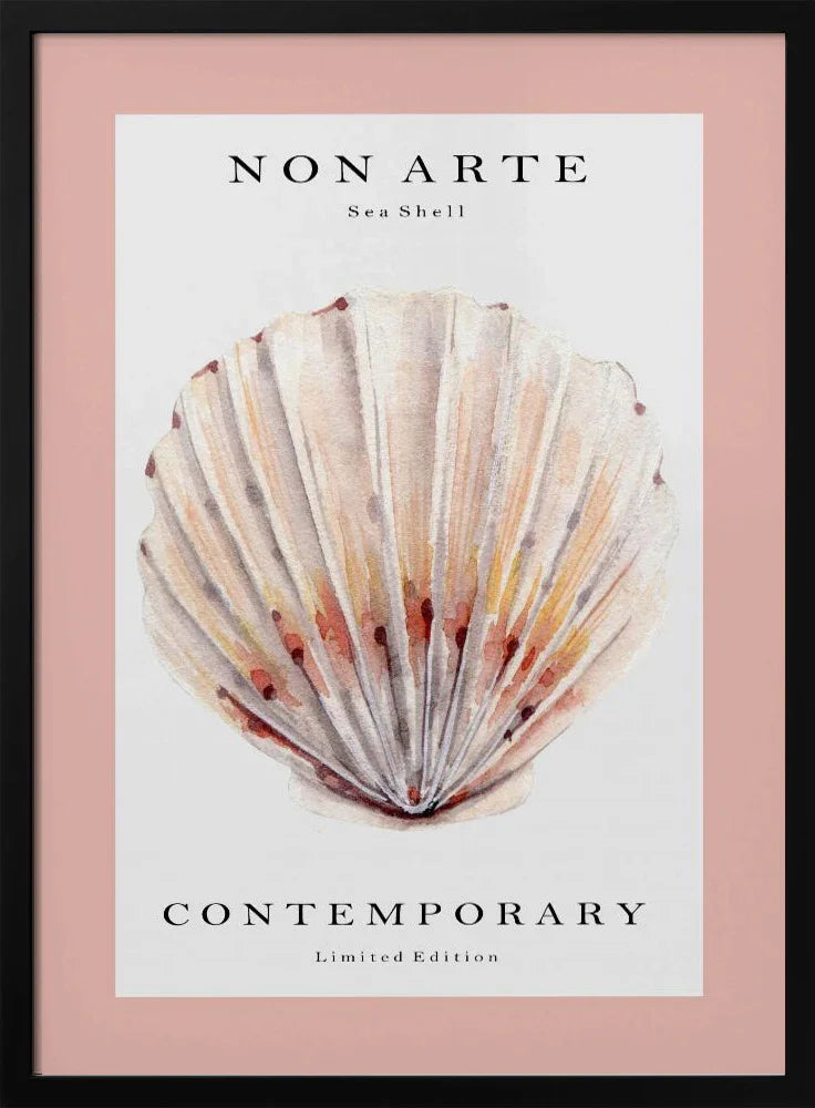 Non Arte Sea Shell no.2 - Rikke Løndager Boisen Framed Art | Home or Office Art