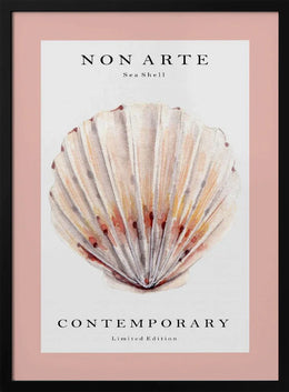 Non Arte Sea Shell no.2 - Rikke Løndager Boisen Framed Art | Home or Office Art