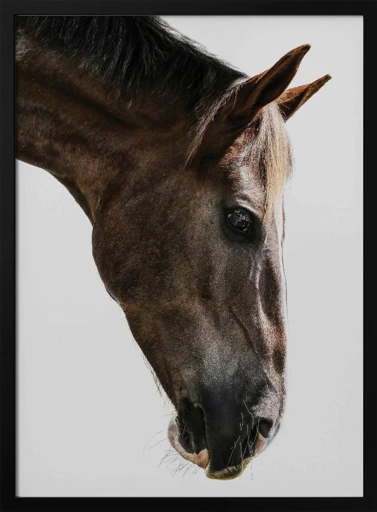 Kalimazoo Framed Art Shot by Clint | Home or Office Art