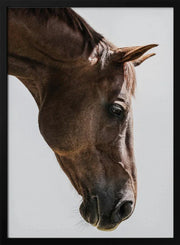 Russian Framed Art Shot by Clint | Home or Office Art