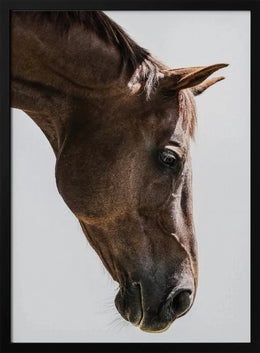 Russian Framed Art Shot by Clint | Home or Office Art