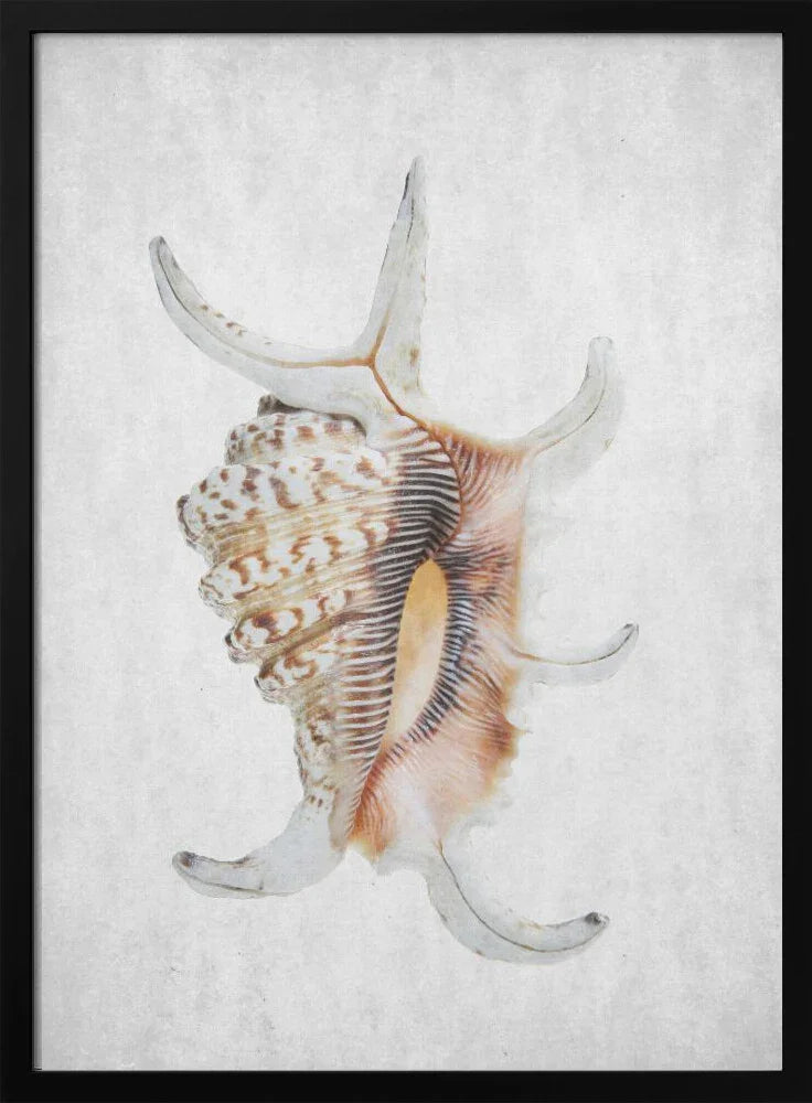 Spring Tide 03 - Shot by Clint Framed Art | Home or Office Art