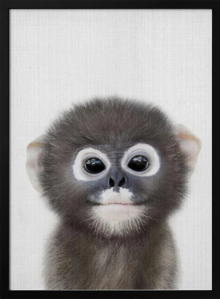 Peekaboo Baby Monkey Framed Art Lola Peacock | Home or Office Art