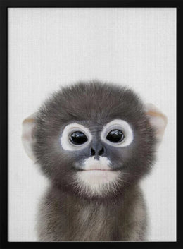 Peekaboo Baby Monkey Framed Art Lola Peacock | Home or Office Art