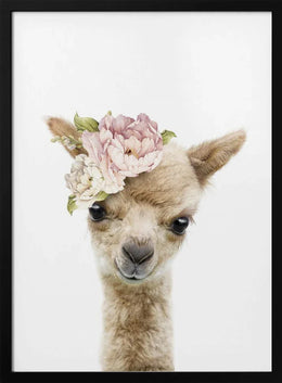 Floral Baby Llama Framed Art Lola Peacock | Home or Office Art