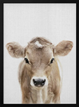 Peekaboo Baby Cow Framed Art Lola Peacock | Home or Office Art