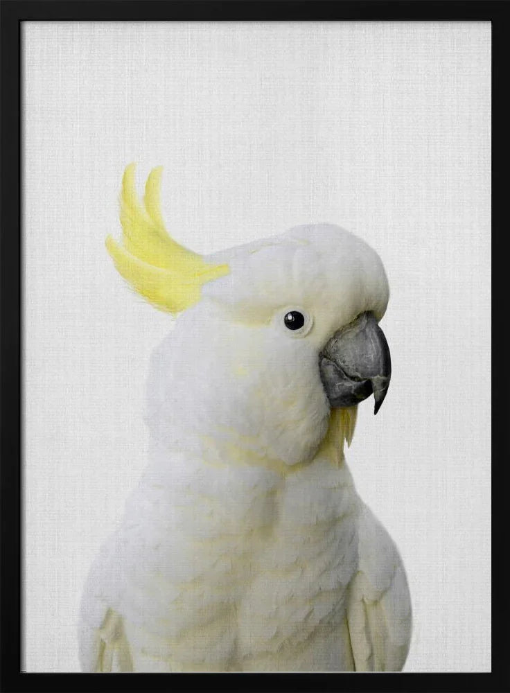 Stunning Parrot Art Collection: Captivating Avian Masterpieces for Your Home