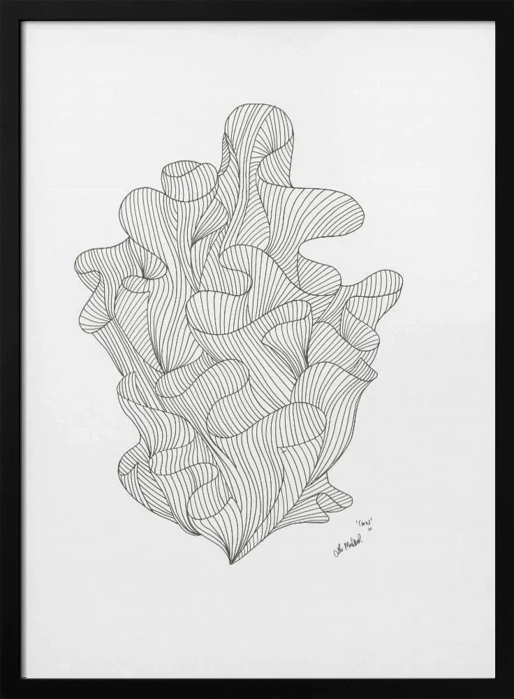 Coral Jpeg - Lor Muller Framed Art | Home or Office Art