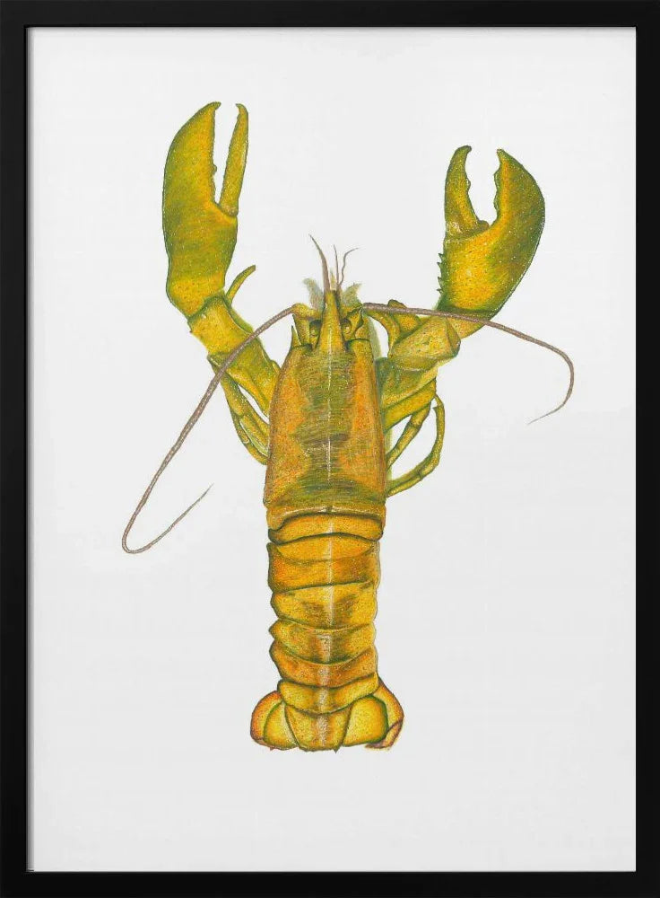Lobster - Akintunde Durodola Framed Art | Home or Office Art