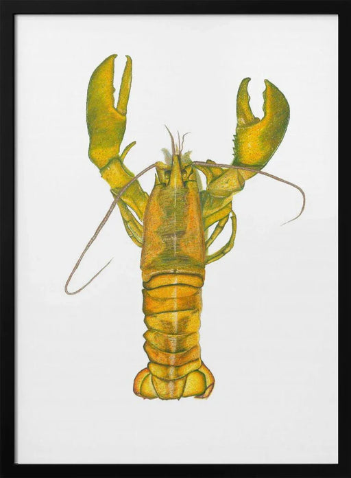Lobster - Akintunde Durodola Framed Art | Home or Office Art