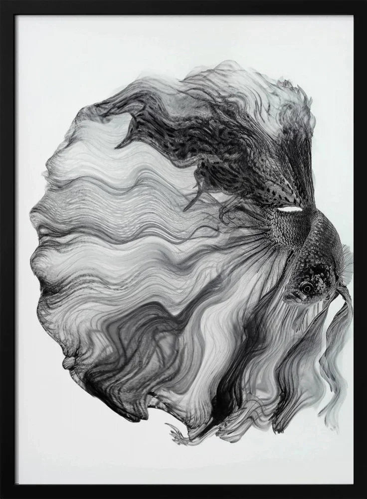 INK BETTA - Andi Halil Framed Art | Home or Office Art