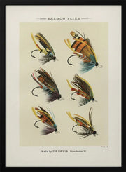 Salmon Fliee 1892 - Mary Orvis Marbury Framed Art | Home or Office Art