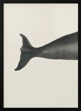 Whale Tight Crop I Handcolored Sealife Lithograph 1824 - Vintage Poster Framed Art | Home or Office Art