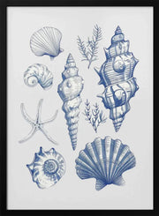 Shell Collage - Jolly and Dash Framed Art | Home or Office Art