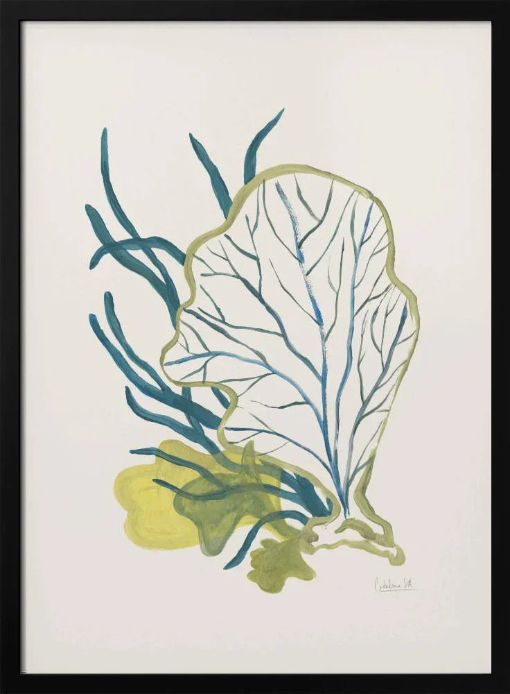 Algae No1 - Catalina Somolinos Framed Art | Home or Office Art