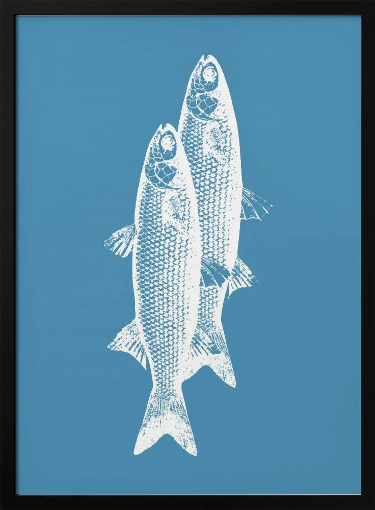 Pescados - Elizabeth C Framed Art | Home or Office Art
